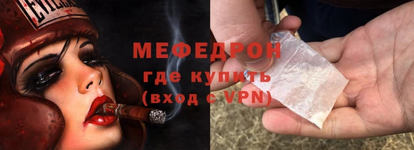 сатива Бородино