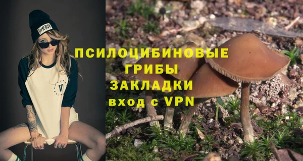 гидра Бронницы