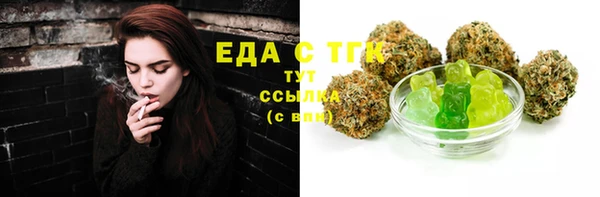 сатива Бородино
