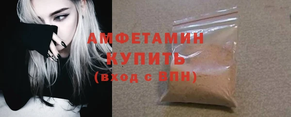 сатива Бородино