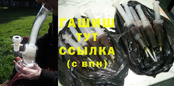 сатива Бородино