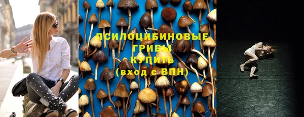 сатива Бородино