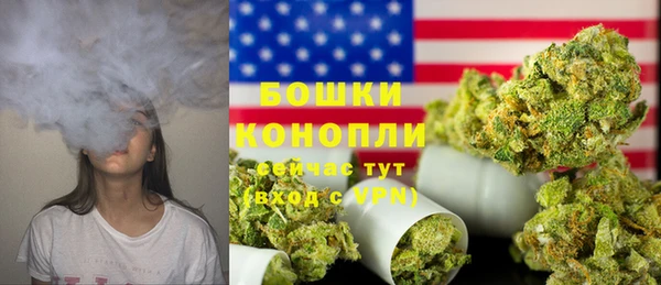 гидра Бронницы