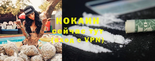 гидра Бронницы