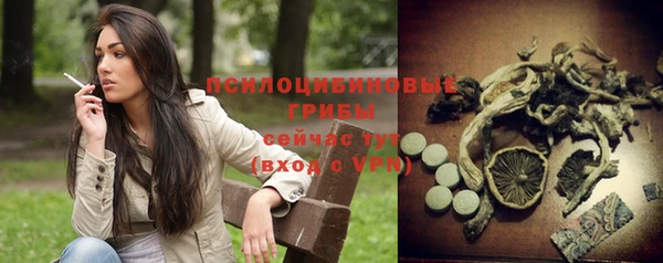 сатива Бородино