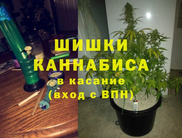 гидра Бронницы
