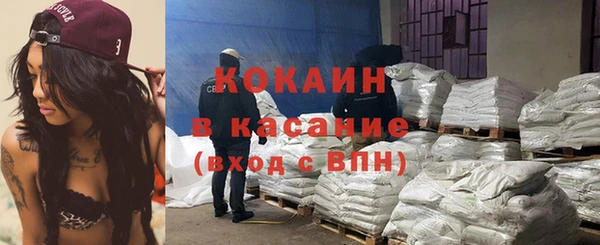 сатива Бородино