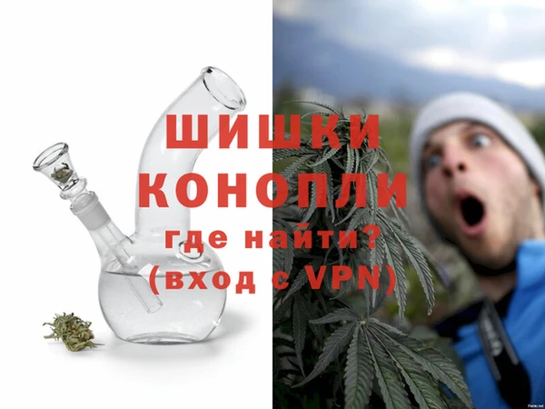 сатива Бородино