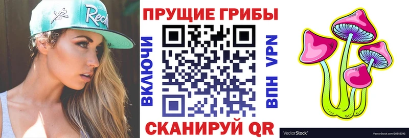 Галлюциногенные грибы Psilocybine cubensis  Купить закладки  Мамадыш 